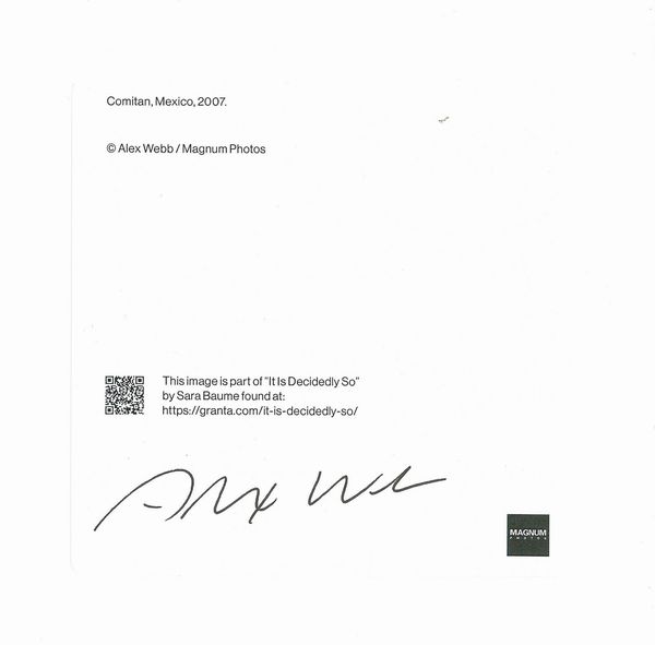 Alex Webb : Comitan, Mexico  - Asta Fotografia - Associazione Nazionale - Case d'Asta italiane