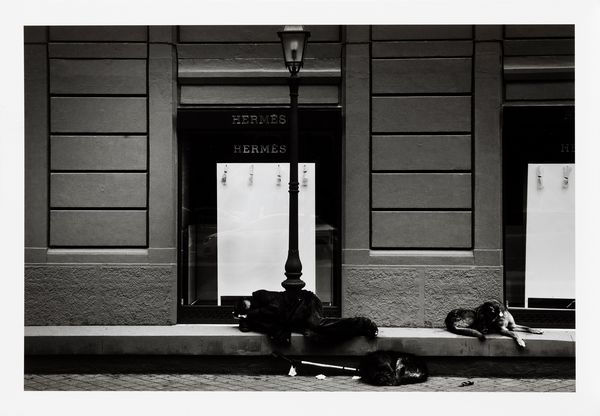 Alessandro Dobici : Hermes  - Asta Fotografia - Associazione Nazionale - Case d'Asta italiane