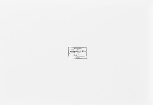 Alessandro Dobici : Bird  - Asta Fotografia - Associazione Nazionale - Case d'Asta italiane