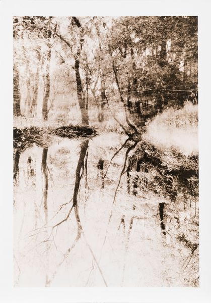 Nick Norwood : Senza titolo  - Asta Fotografia - Associazione Nazionale - Case d'Asta italiane