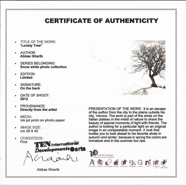 Abbas Gharib : Lonely Tree, dalla serie �Snow white photo collection�  - Asta Fotografia - Associazione Nazionale - Case d'Asta italiane