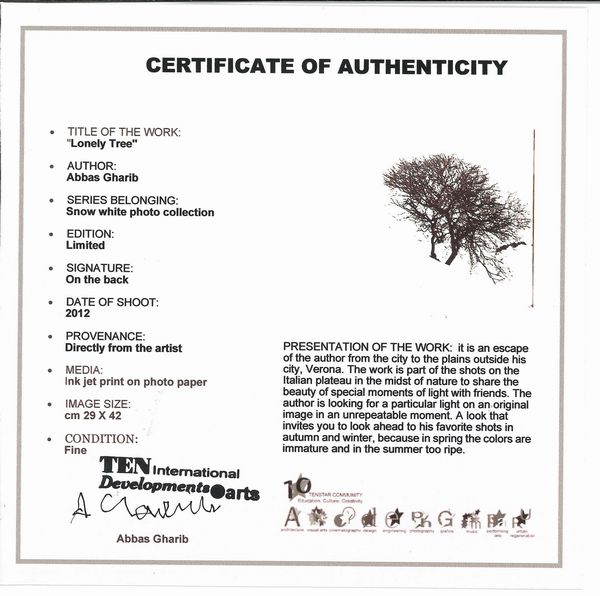 Abbas Gharib : Lonely Tree, dalla serie �Snow white photo collection�  - Asta Fotografia - Associazione Nazionale - Case d'Asta italiane