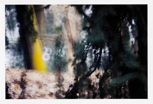 Riccardo Bagnoli - Senza titolo