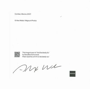 Alex Webb : Comitan, Mexico  - Asta Fotografia - Associazione Nazionale - Case d'Asta italiane