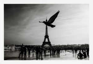 Alessandro Dobici - Bird