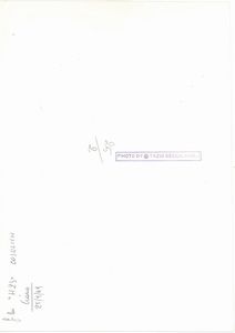 TAZIO SECCHIAROLI : Senza titolo  - Asta Fotografia - Associazione Nazionale - Case d'Asta italiane