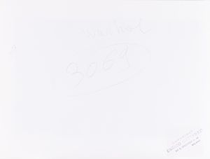 Enrico Cattaneo : Andy Warhol - galleria Apollinaire, Milano  - Asta Fotografia - Associazione Nazionale - Case d'Asta italiane