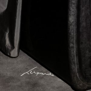 Foto Luxardo Annunciatrici TV  - Asta Fotografia - Associazione Nazionale - Case d'Asta italiane