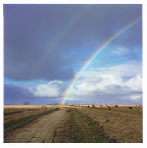 Alessandra Sanguinetti - The Way Back. Buenos Aires Province, Argentina