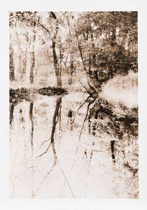 Nick Norwood - Senza titolo