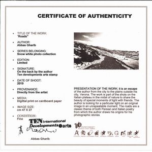 Abbas Gharib : Roads, dalla serie Snow white photo collection  - Asta Fotografia - Associazione Nazionale - Case d'Asta italiane