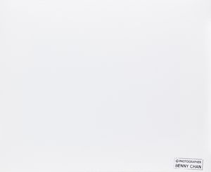 Benny Chan : Senza titolo (Guggenheim, Bilbao)  - Asta Fotografia - Associazione Nazionale - Case d'Asta italiane