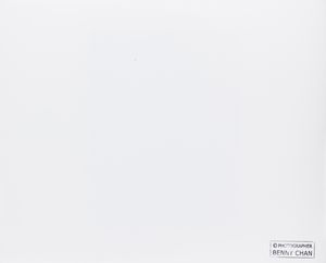 Benny Chan : Senza titolo  - Asta Fotografia - Associazione Nazionale - Case d'Asta italiane