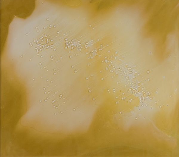 VASCO BENDINI : Senza Titolo  - Asta Asta di Arte Moderna e Contemporanea  - Associazione Nazionale - Case d'Asta italiane