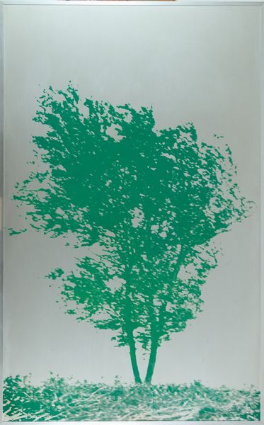 Franco Fontana : Dalla serie Natura  - Asta Asta di Arte Moderna e Contemporanea  - Associazione Nazionale - Case d'Asta italiane