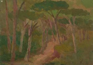 Guido Guidi - Sentiero nel bosco