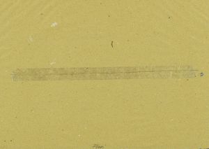 WALTER FUSI - Senza titolo