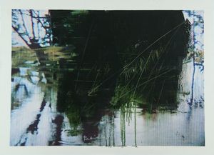 Antonio Pedretti - Da Azzurro Amazzonia