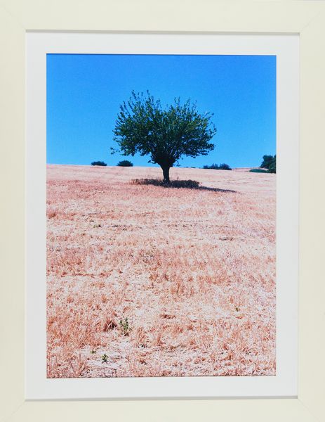 NECATI (Nello Catinello) : Senza titolo  - Asta Arte Moderna e Contemporanea - Associazione Nazionale - Case d'Asta italiane