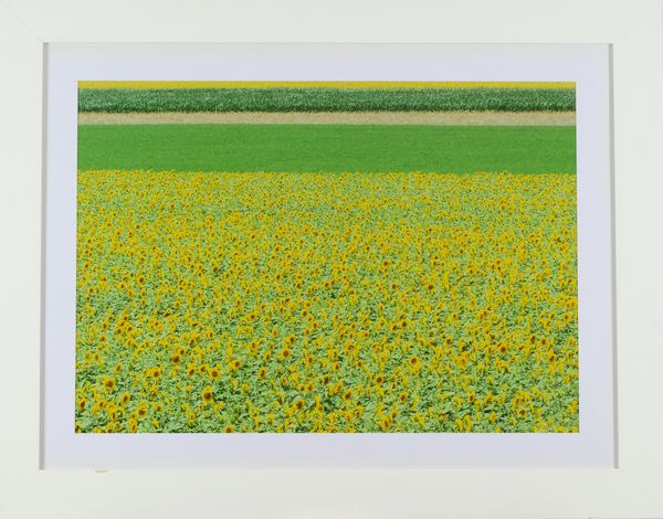 NECATI (Nello Catinello) : Senza titolo  - Asta Arte Moderna e Contemporanea - Associazione Nazionale - Case d'Asta italiane