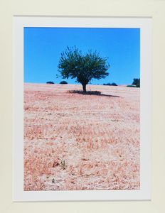 NECATI (Nello Catinello) - Senza titolo