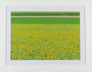 NECATI (Nello Catinello) - Senza titolo