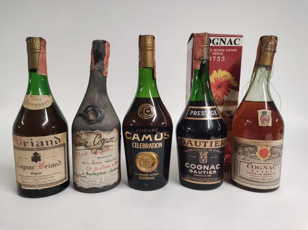 Briand, Ch. Gaultier, Camus, Berville, Cognac  - Asta Spring Wines and Spirits - Associazione Nazionale - Case d'Asta italiane