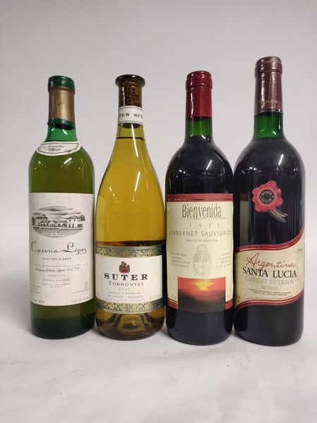 Selezione Argentina, Cabernet, Suter  - Asta Spring Wines and Spirits - Associazione Nazionale - Case d'Asta italiane