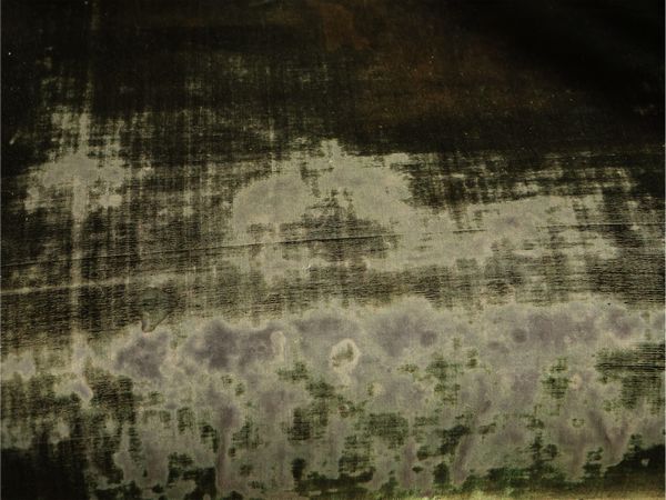 Coppia di poltrone in noce e impiallacciate in piuma di noce  - Asta Un'antica dimora marchigiana: Arredi antichi e Arte contemporanea - Associazione Nazionale - Case d'Asta italiane