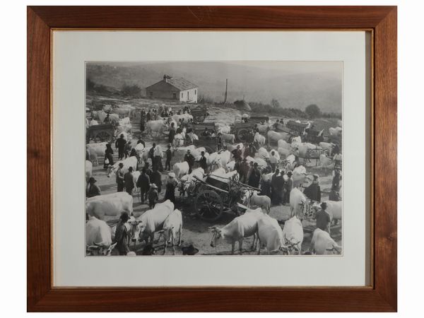 Serie di sei foto vintage  - Asta Un'antica dimora marchigiana: Arredi antichi e Arte contemporanea - Associazione Nazionale - Case d'Asta italiane