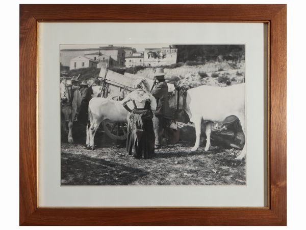 Serie di sei foto vintage  - Asta Un'antica dimora marchigiana: Arredi antichi e Arte contemporanea - Associazione Nazionale - Case d'Asta italiane