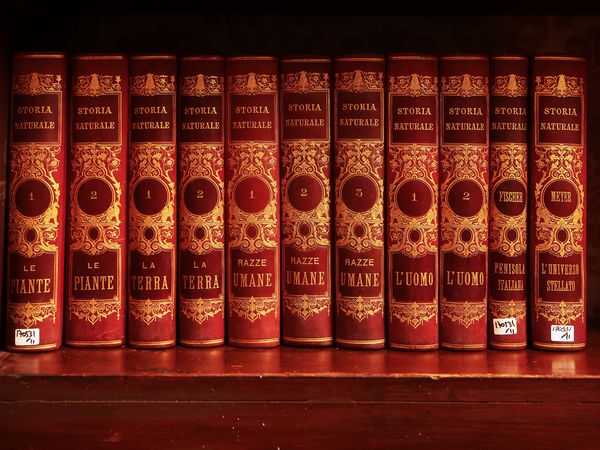 Undici volumi da Storia Naturale  - Asta Un'antica dimora marchigiana: Arredi antichi e Arte contemporanea - Associazione Nazionale - Case d'Asta italiane