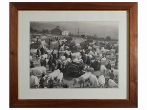 Serie di sei foto vintage  - Asta Un'antica dimora marchigiana: Arredi antichi e Arte contemporanea - Associazione Nazionale - Case d'Asta italiane