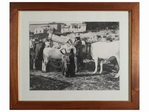 Serie di sei foto vintage  - Asta Un'antica dimora marchigiana: Arredi antichi e Arte contemporanea - Associazione Nazionale - Case d'Asta italiane