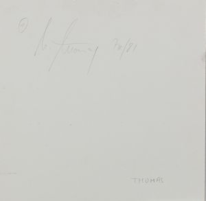 Norbert Thomas : Senza titolo  - Asta Arte Moderna e Contemporanea - Associazione Nazionale - Case d'Asta italiane