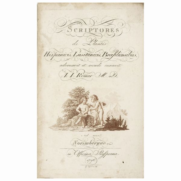 Esemplare in barbe di rara raccolta di quattro opere su piante spagnole, portoghesi e brasiliane  - Asta LIBRI, MANOSCRITTI E AUTOGRAFI - Associazione Nazionale - Case d'Asta italiane