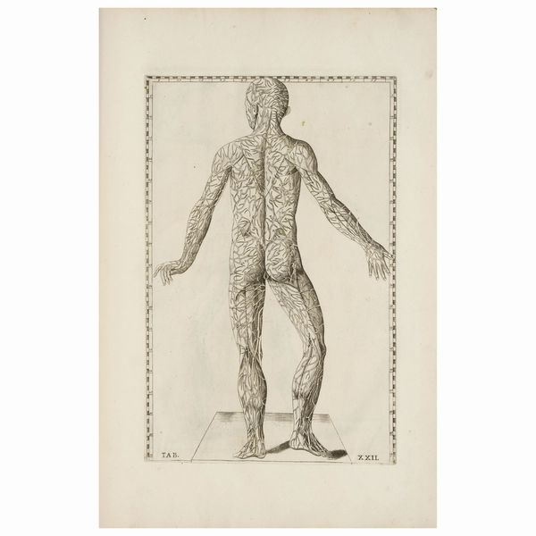 Edizione accresciuta di 26 tavole rispetto a quella del 1769  - Asta LIBRI, MANOSCRITTI E AUTOGRAFI - Associazione Nazionale - Case d'Asta italiane