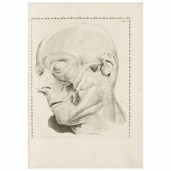 Bella copia in barbe di questo magnifico trattato anatomico in prima edizione  - Asta LIBRI, MANOSCRITTI E AUTOGRAFI - Associazione Nazionale - Case d'Asta italiane