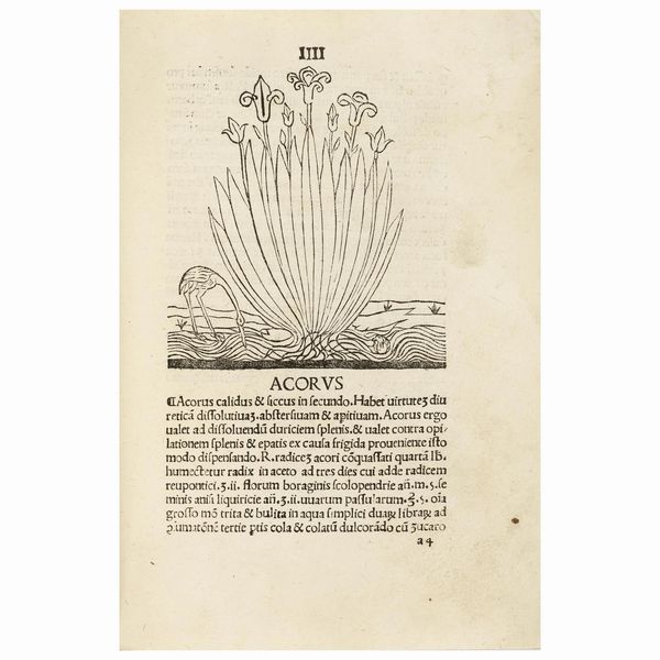 Assai raro erbario, il primo stampato in Italia dal primo tipografo attivo a Vicenza  - Asta LIBRI, MANOSCRITTI E AUTOGRAFI - Associazione Nazionale - Case d'Asta italiane