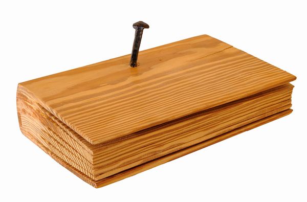 FANNA MARIAPIA RONCORONI : Libro muto  - Asta Asta di Arte Moderna e Contemporanea - Associazione Nazionale - Case d'Asta italiane