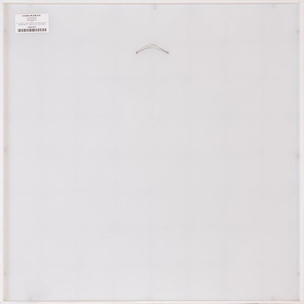 ALDO BOSCHIN : Pentagono XI  - Asta Asta di Arte Moderna e Contemporanea - Associazione Nazionale - Case d'Asta italiane