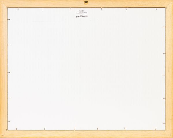 FABRIZIO PLESSI : Progetto per video installazione  - Asta Asta di Arte Moderna e Contemporanea - Associazione Nazionale - Case d'Asta italiane