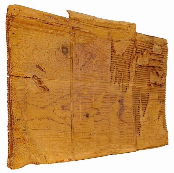 ROMANO ABATE : Naturale innaturale  - Asta Asta di Arte Moderna e Contemporanea - Associazione Nazionale - Case d'Asta italiane