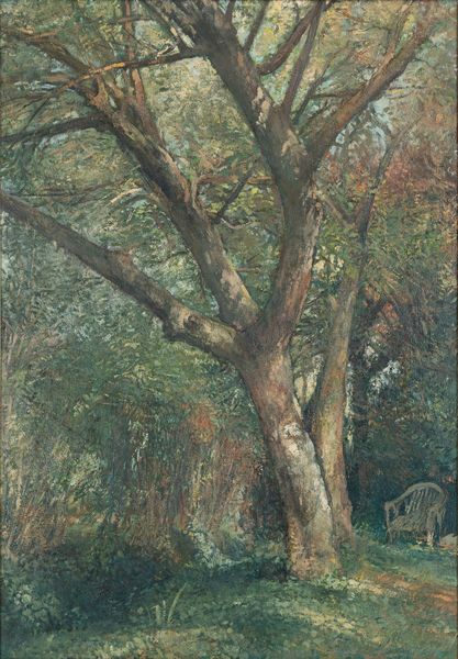 GIOVANNI BARBISAN : Bosco  - Asta Asta di Arte Moderna e Contemporanea - Associazione Nazionale - Case d'Asta italiane