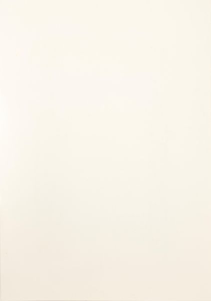 NELIO SONEGO : senza titolo  - Asta Asta di Arte Moderna e Contemporanea - Associazione Nazionale - Case d'Asta italiane