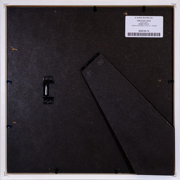 NOBUYOSHI  ARAKI : senza titolo  - Asta Asta di Arte Moderna e Contemporanea - Associazione Nazionale - Case d'Asta italiane