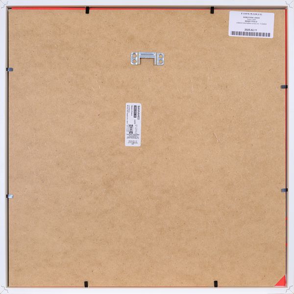 NOBUYOSHI  ARAKI : senza titolo  - Asta Asta di Arte Moderna e Contemporanea - Associazione Nazionale - Case d'Asta italiane