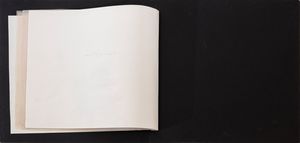 VALENTINA BERARDINONE : Libro d'Artista - La coscienza di s.....  - Asta Asta di Arte Moderna e Contemporanea - Associazione Nazionale - Case d'Asta italiane