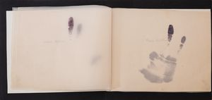 VALENTINA BERARDINONE : Libro d'Artista - La coscienza di s.....  - Asta Asta di Arte Moderna e Contemporanea - Associazione Nazionale - Case d'Asta italiane