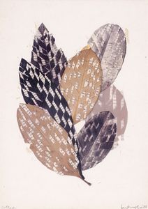 MIRELLA BENTIVOGLIO - Natura